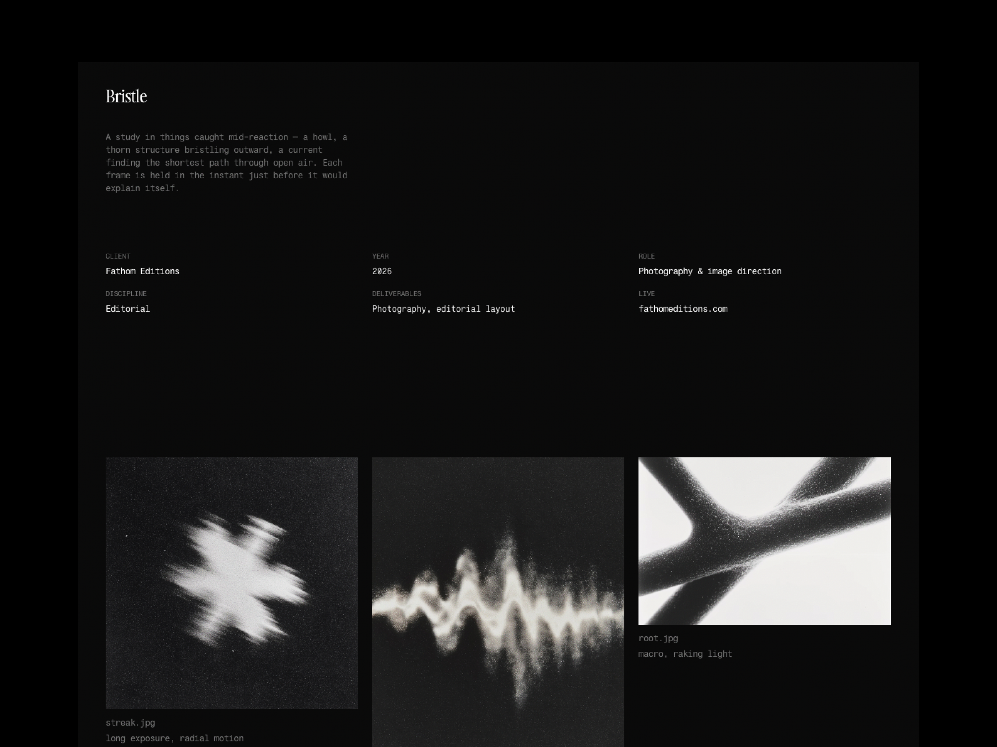 Screenshot 3 of Ash Thorne