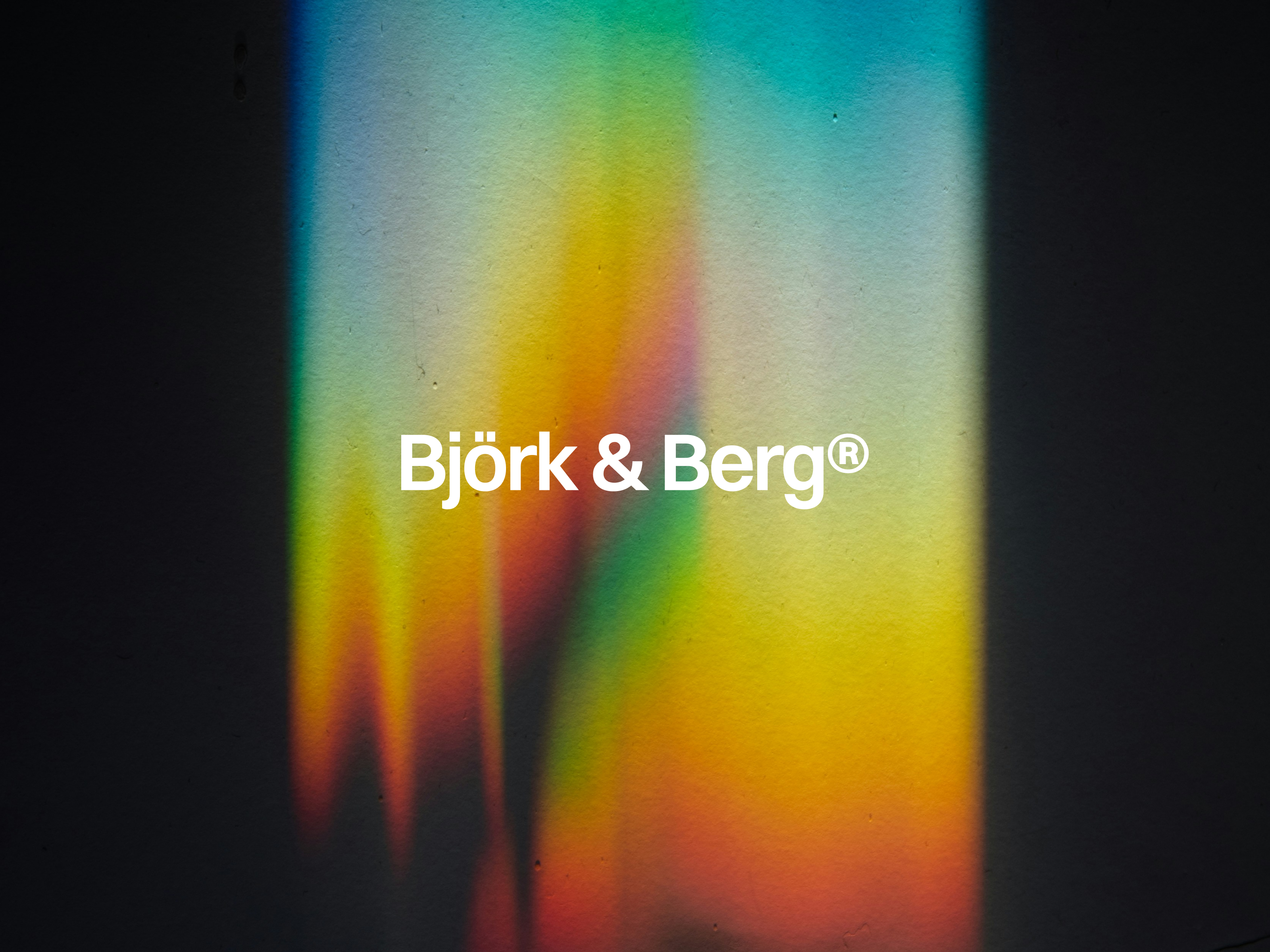 Screenshot 3 of Björk & Berg®