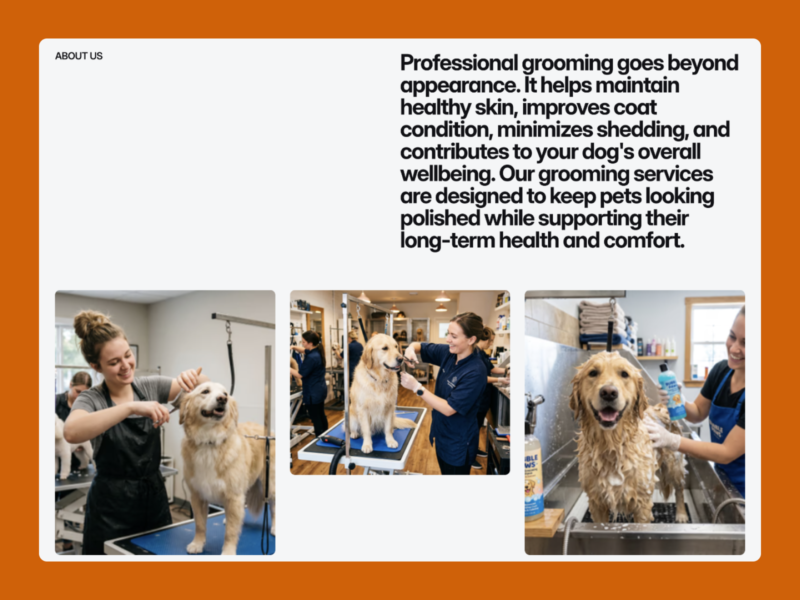 Screenshot 2 of Dog Groom