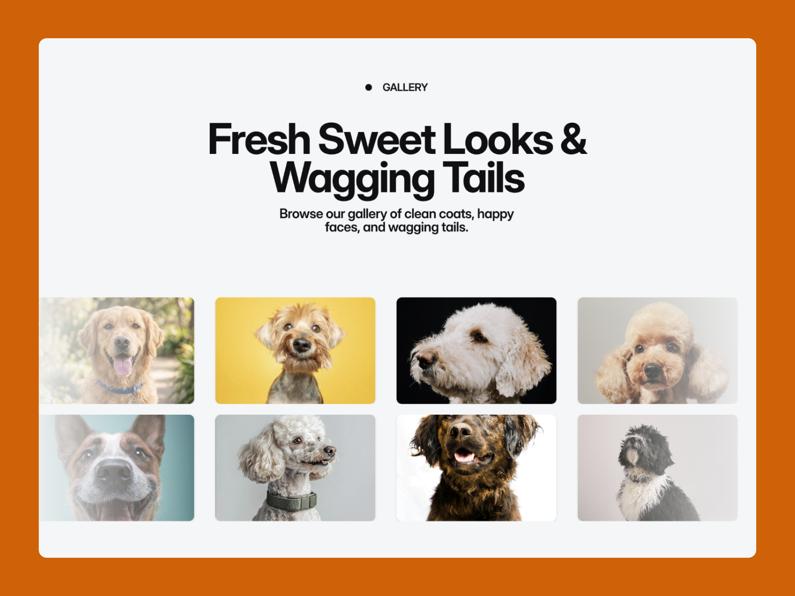 Screenshot 4 of Dog Groom
