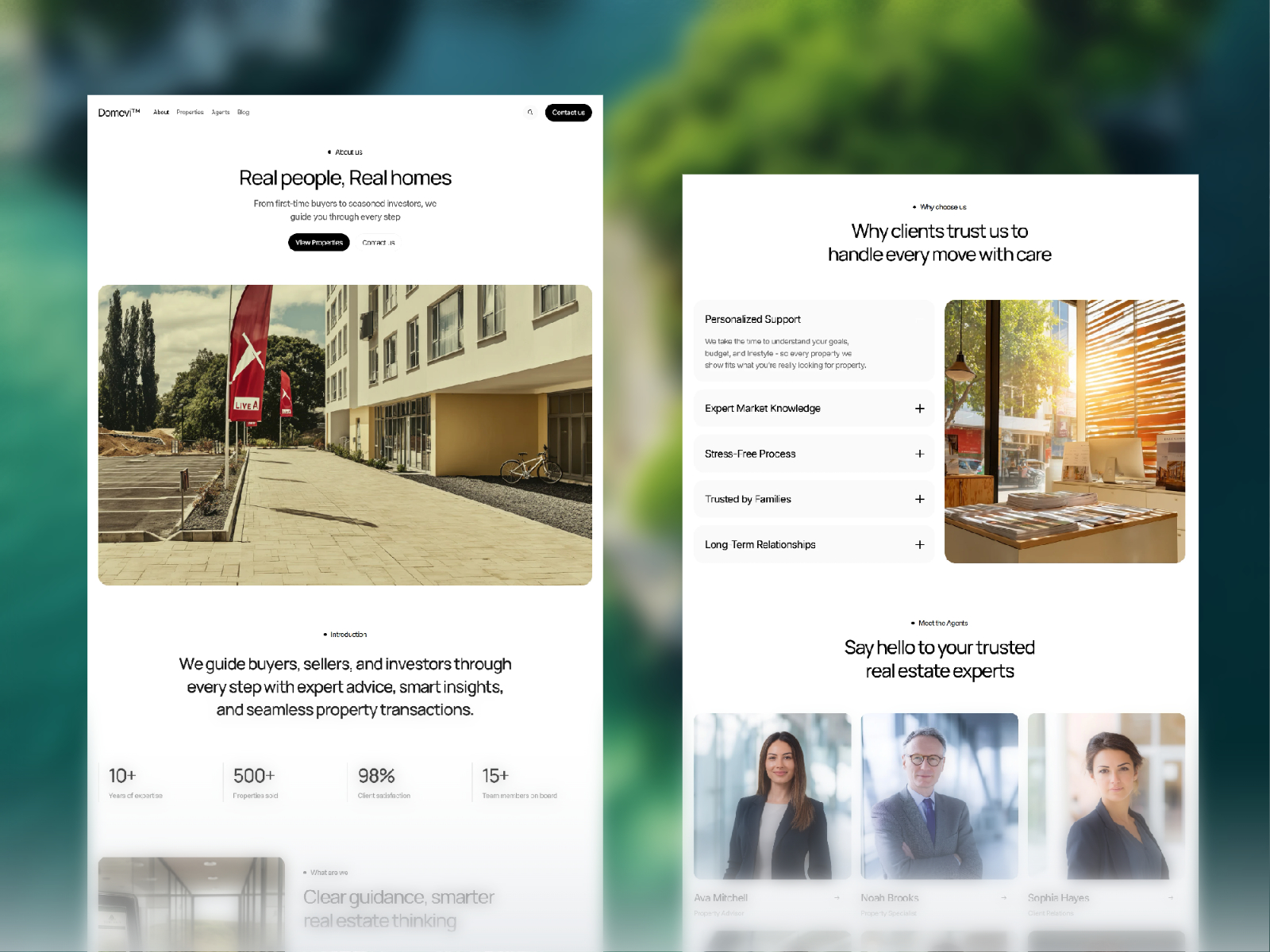Screenshot 4 of Domevi