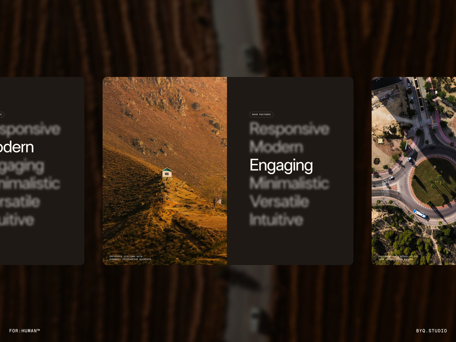 Screenshot 2 of For Human