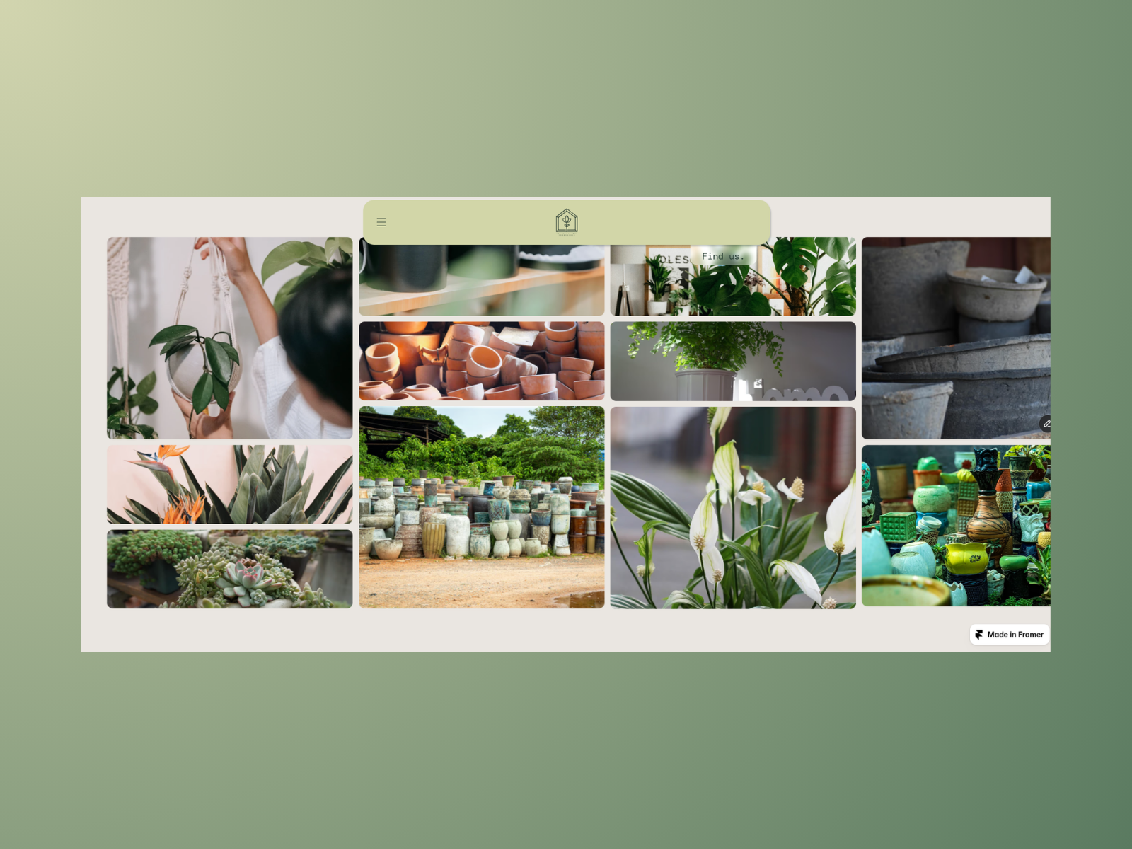 Screenshot 2 of Fresh Plant Shop
