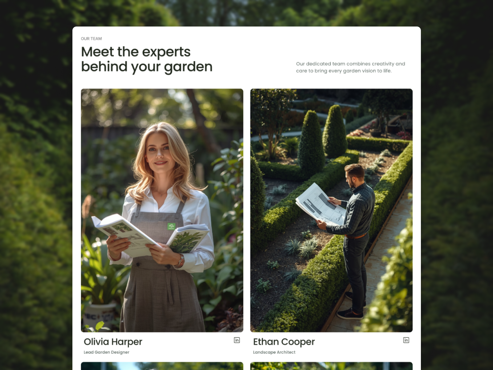 Screenshot 4 of Grevia Gardening
