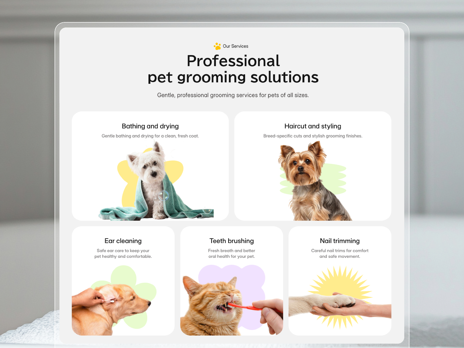 Screenshot 2 of GroomLab