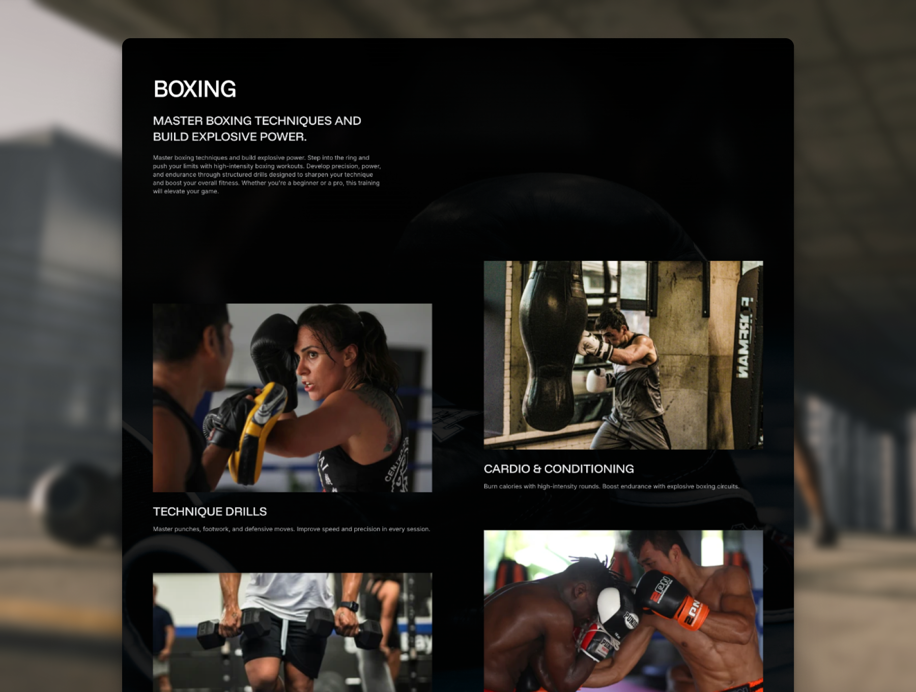 Screenshot 3 of ImperialGym -