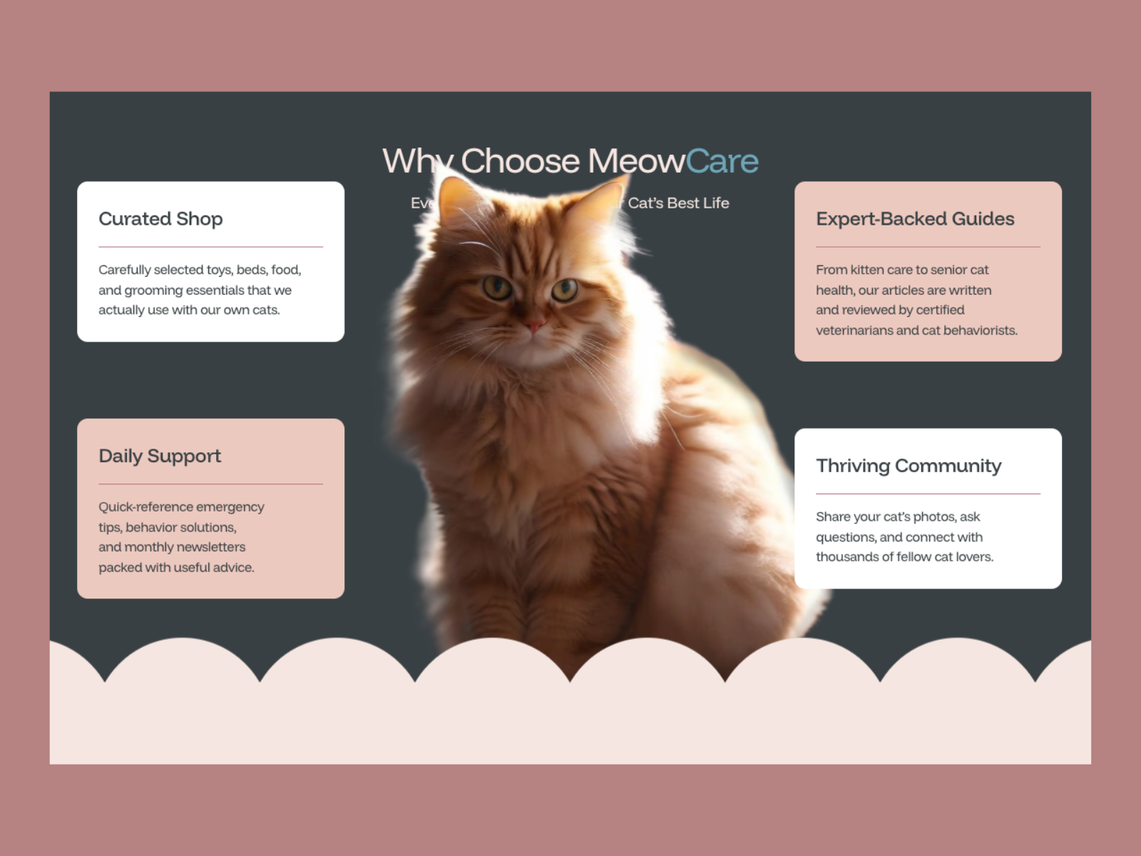 Screenshot 2 of MeowCare