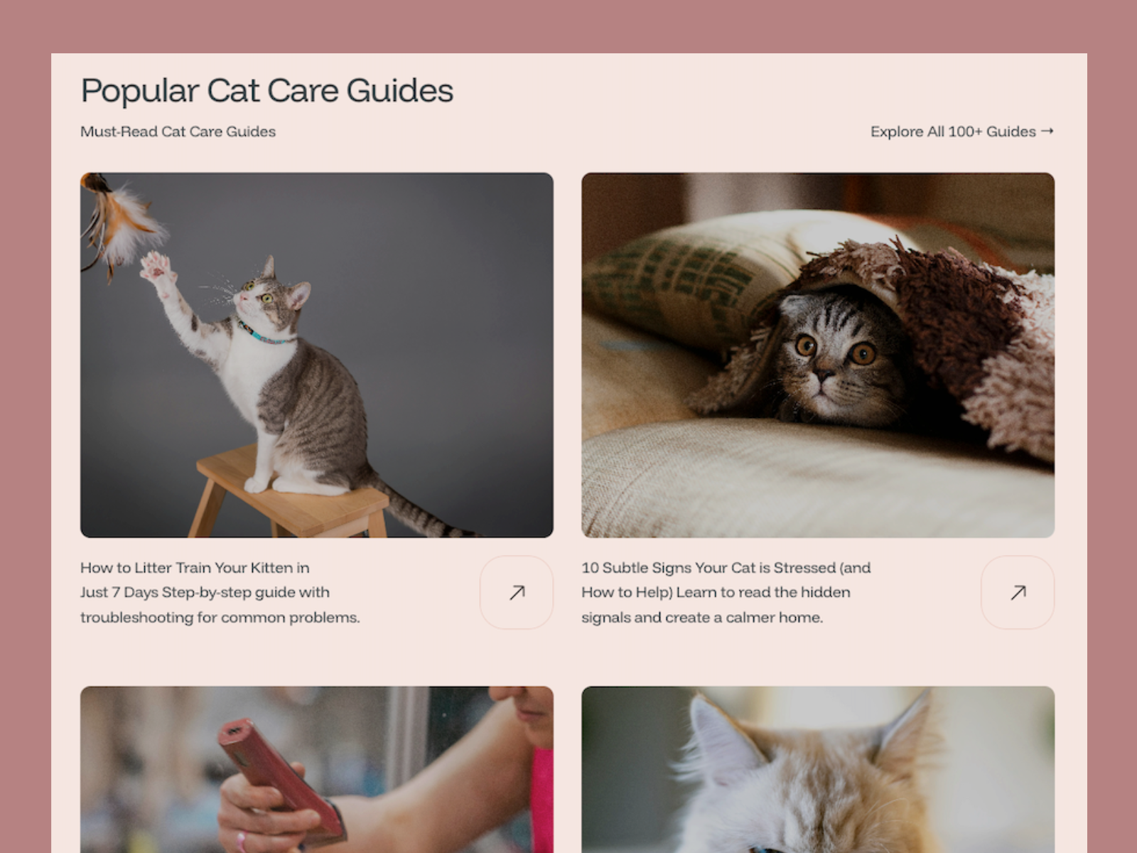 Screenshot 3 of MeowCare