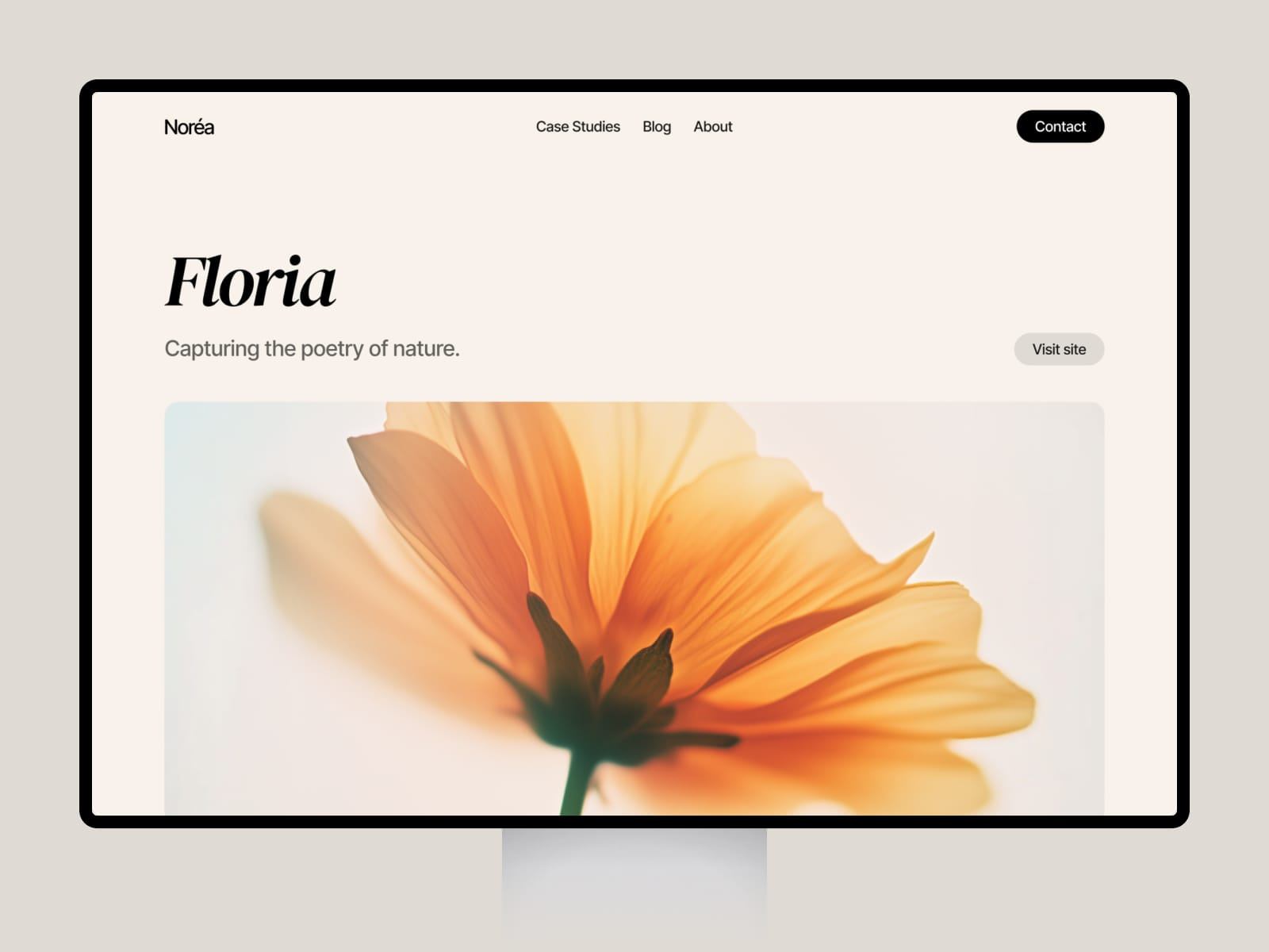 Screenshot 3 of Norea