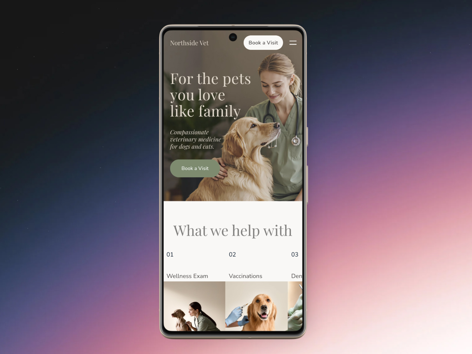 Screenshot 3 of Northside Vet