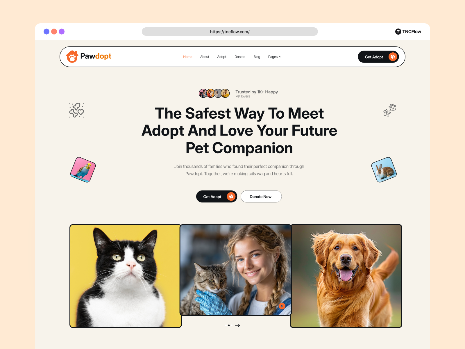 Screenshot 3 of Pawdopt