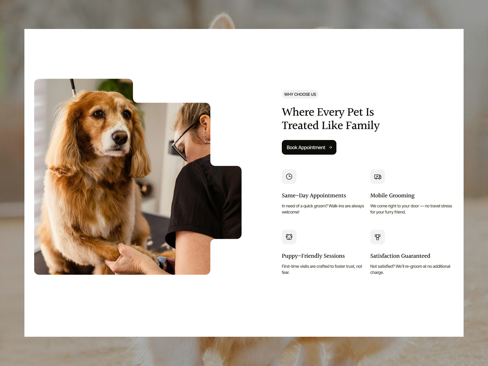 Screenshot 2 of Pawfecto