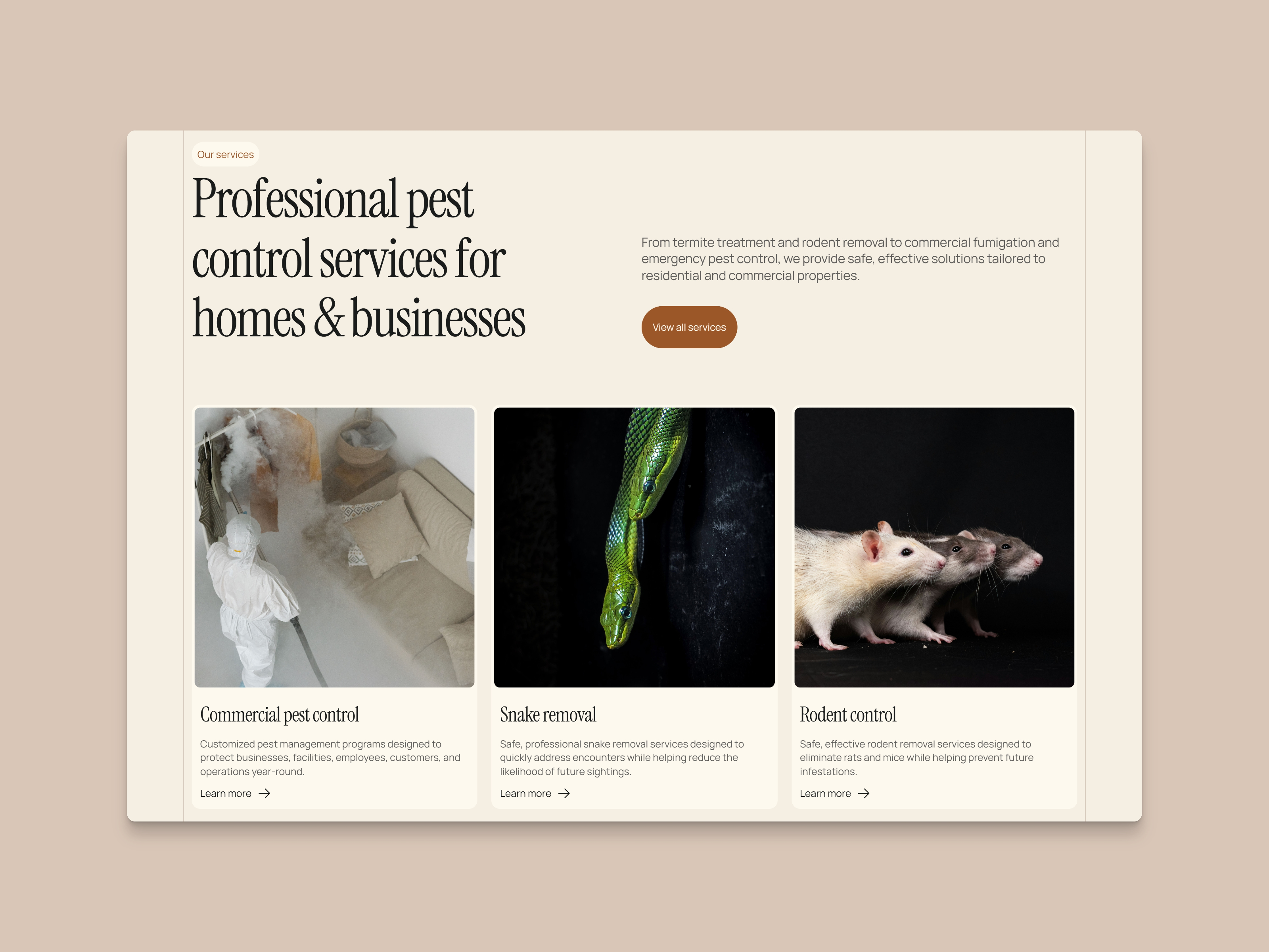 Screenshot 3 of Pestpro