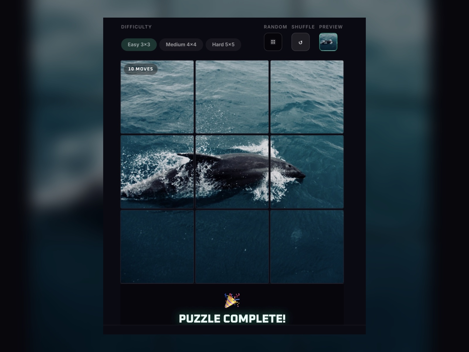 Screenshot 2 of Puzzle Game