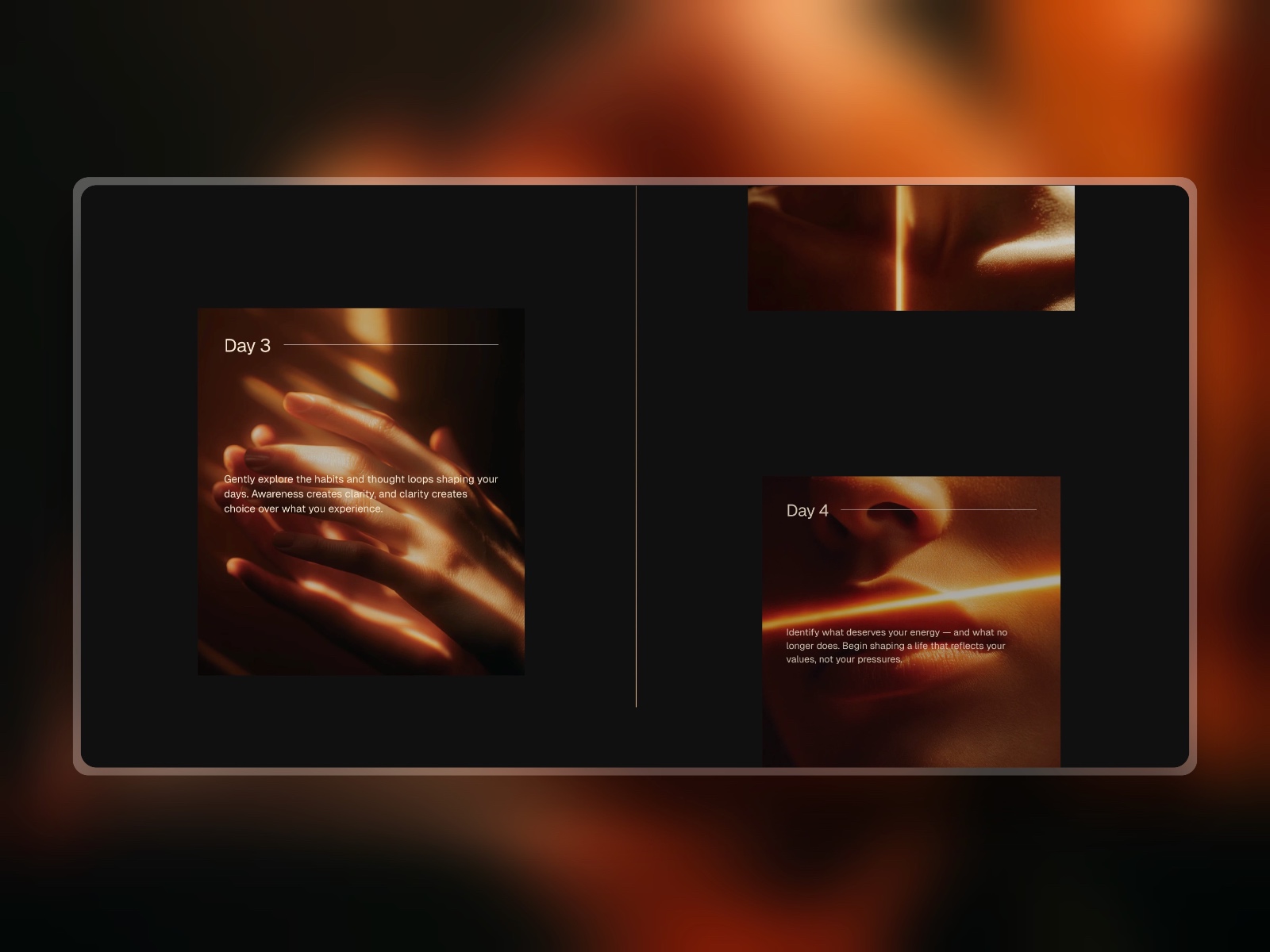 Screenshot 3 of Reset