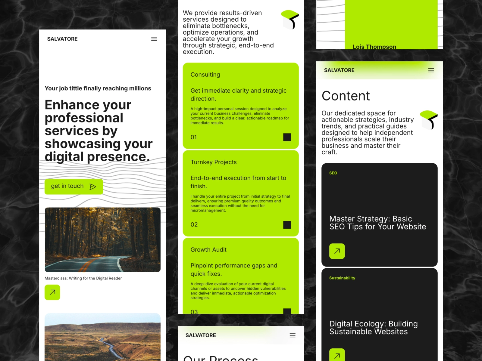 Screenshot 4 of Salvatore Template