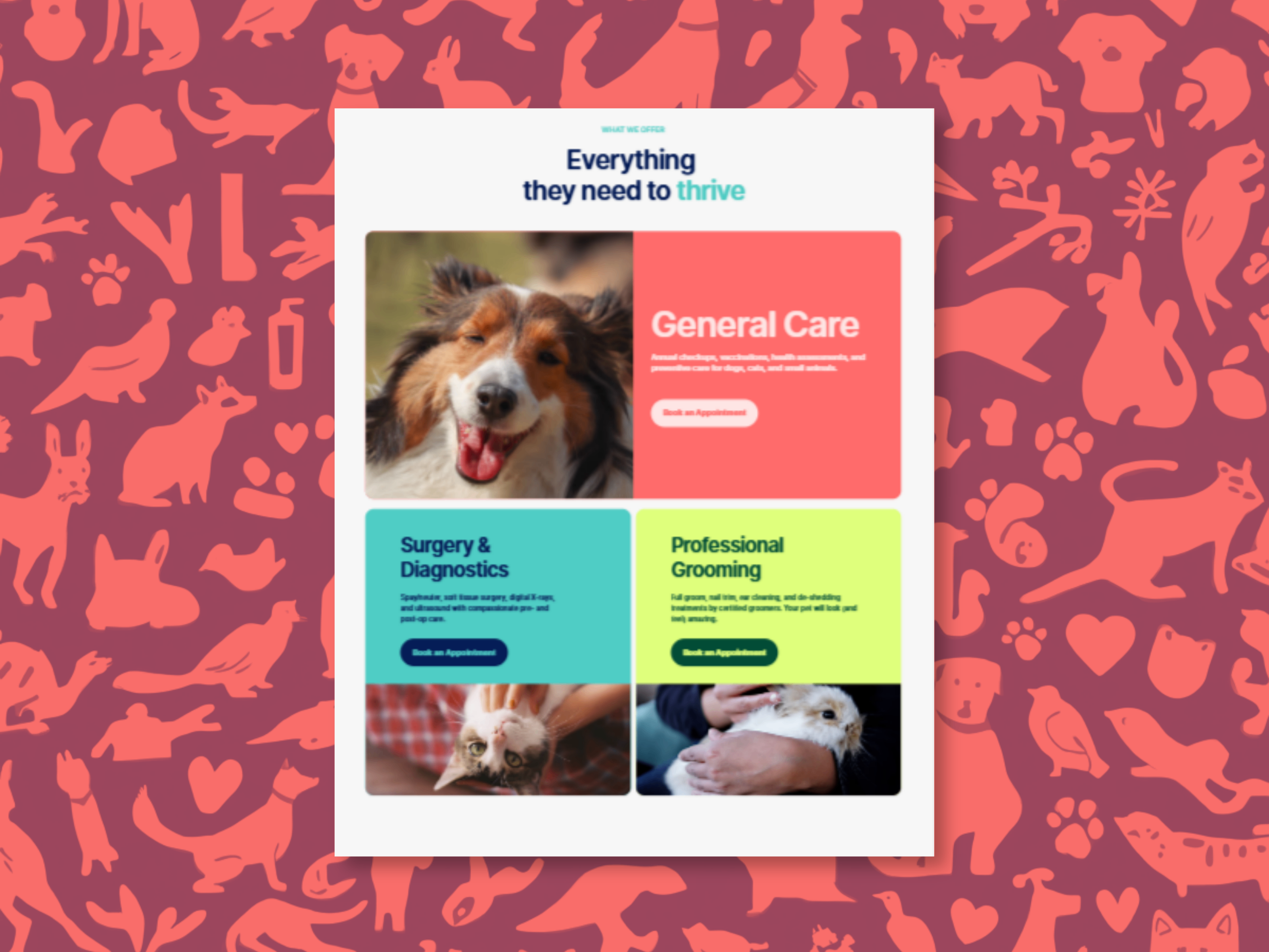 Screenshot 3 of Thrive Vet