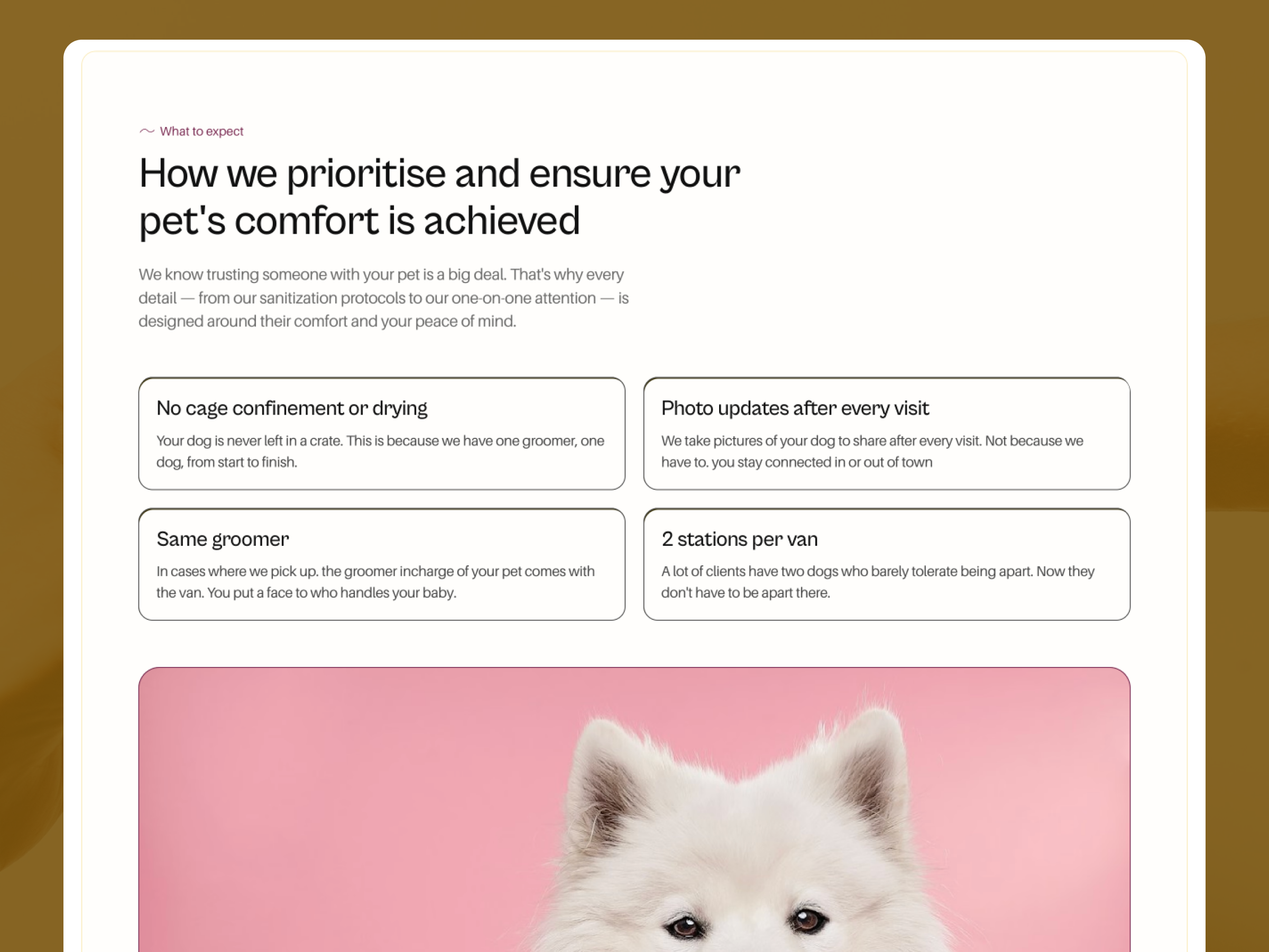 Screenshot 4 of Wren Petcare